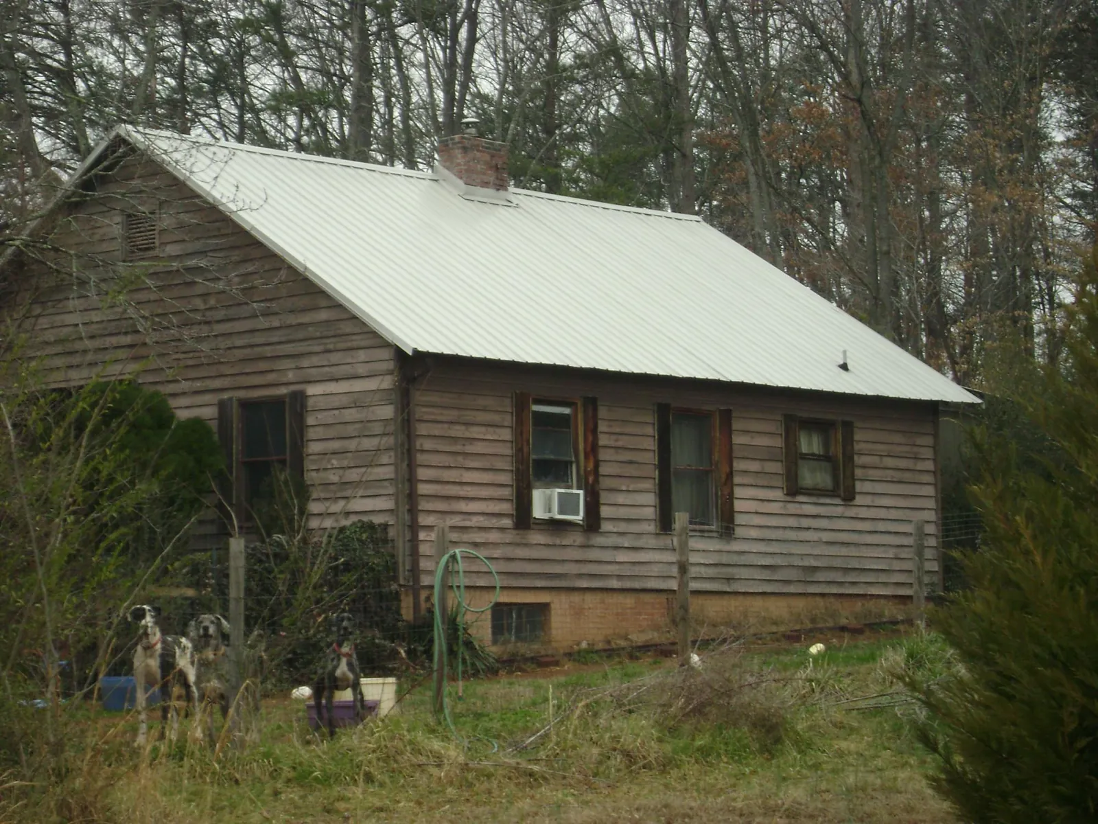 White metal roof on an old wood sided farmhouse, from a Asphalt Shingle Roof Repair job in Lockport